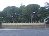 IMGP3401